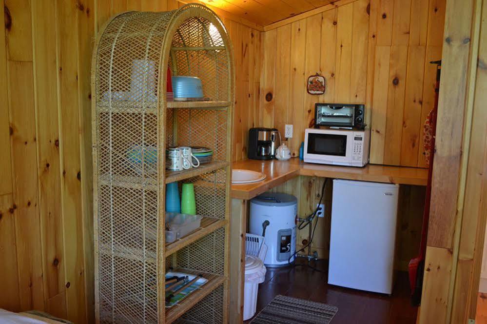 Birchland Cottages Iron Bridge Ngoại thất bức ảnh